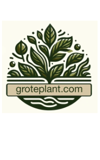 grote plant